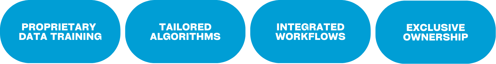 A minimalist graphic highlighting four pillars of a technological moat in custom AI: Proprietary Data Training, Tailored Algorithms, Integrated Workflows, and Exclusive Ownership.